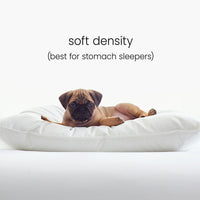 8-Piece Percale & Loftaire™ Down Alternative Bedding Bundle  - Twin, Soft, White,White