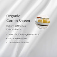 Organic Cotton Sateen Mattress/Box Spring Protector - 18 in., Twin XL,White