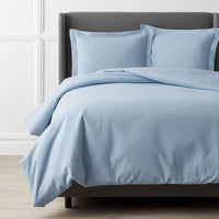 Classic Ultra-Cozy Cotton Flannel Solid Duvet Cover - Powder Blue, Twin/Twin XL,Powder Blue