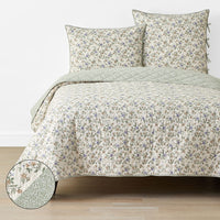 Garden Mist Reversible Quilt - Beige Multi, Full/Queen,Beige Multi