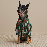 Family Flannel Pet Pajamas - Deer Path, XXL,Deer Path