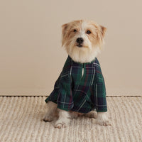 Family Flannel Pet Pajamas - Pine Plaid, XXL,Pine Plaid