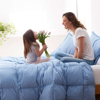Premium Down Ultra Warmth Comforter - Porcelain Blue, Twin/Twin XL,Porcelain Blue