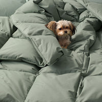 Quilted Sham - Thyme, Standard,Thyme