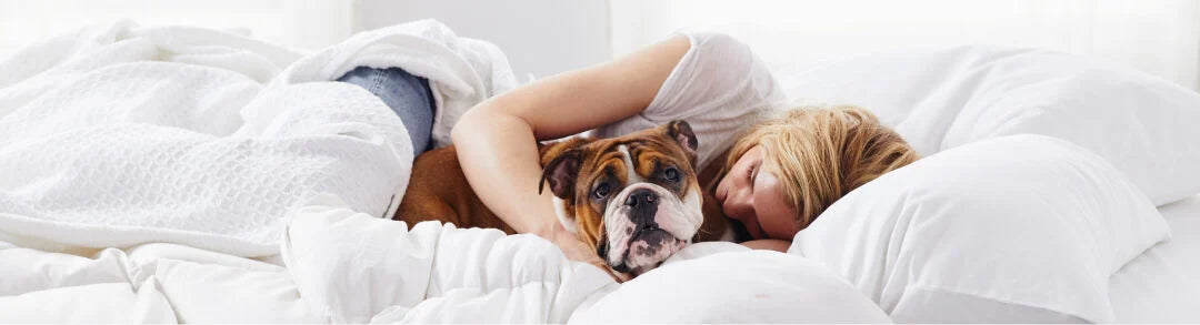 A family and their dog relaxing together in white bedding